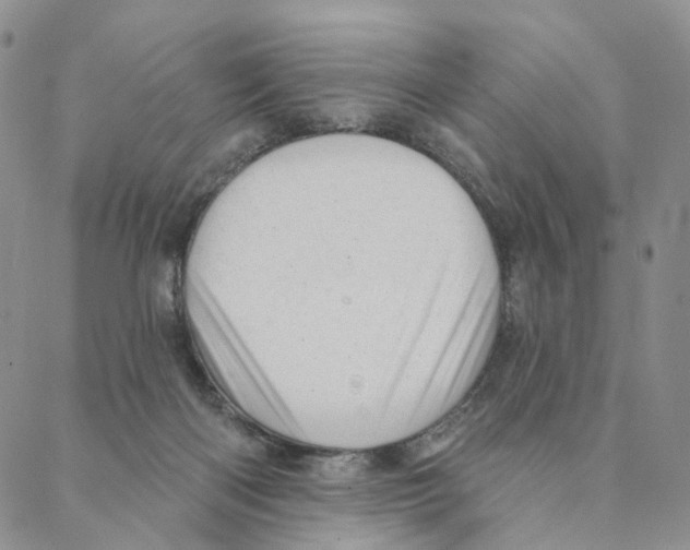 X0000088160122200706121611