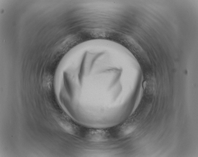 X0000088160125200706121611