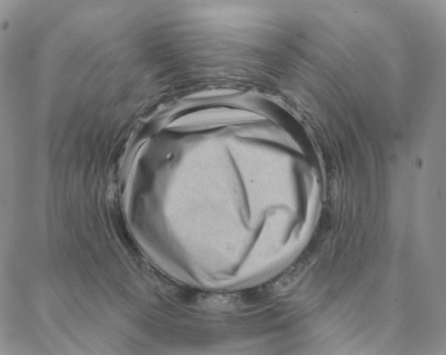 X0000088160129200706121611