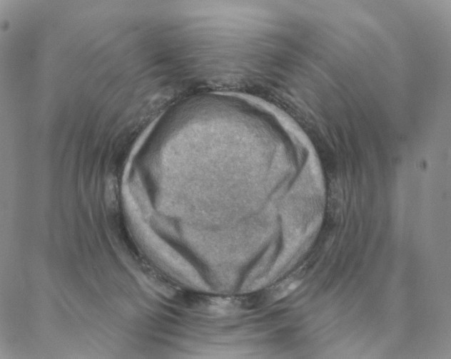 X0000088160130200706121611