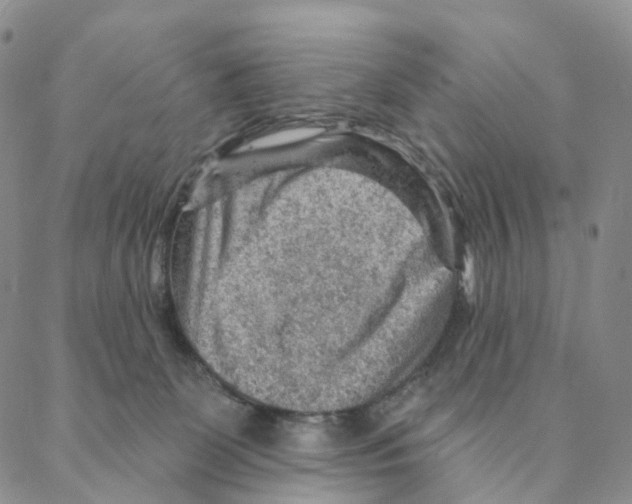 X0000088160131200706121611