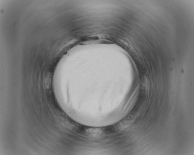 X0000088160133200706121610
