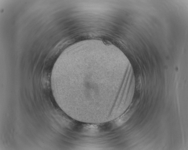 X0000088160140200706121610
