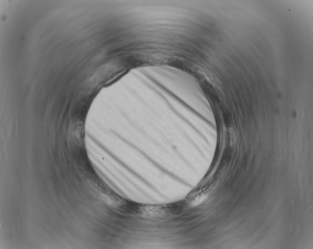 X0000088160141200706121610
