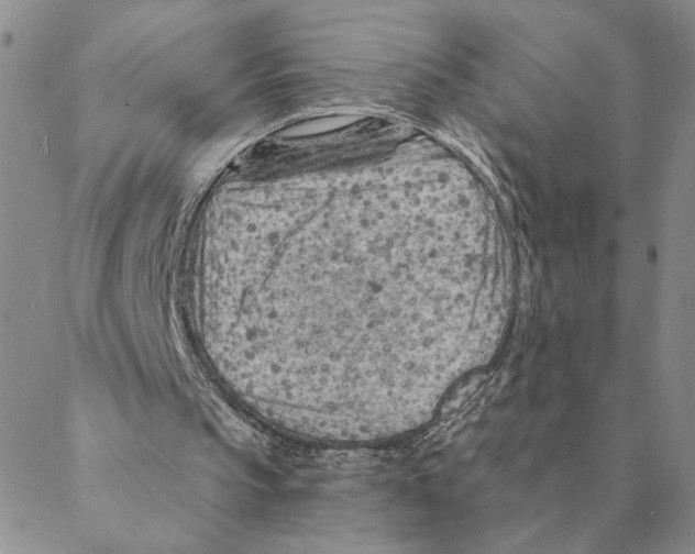 X0000088160145200706121610