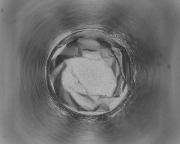 X0000088160148200706121610