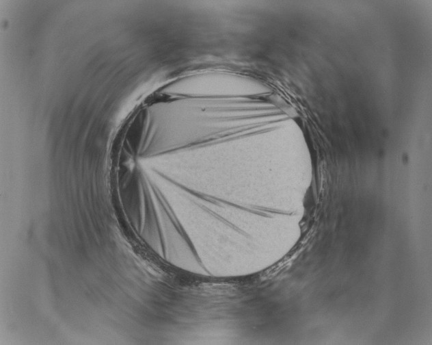 X0000088160150200706121610