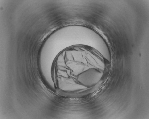 X0000088160154200706121610