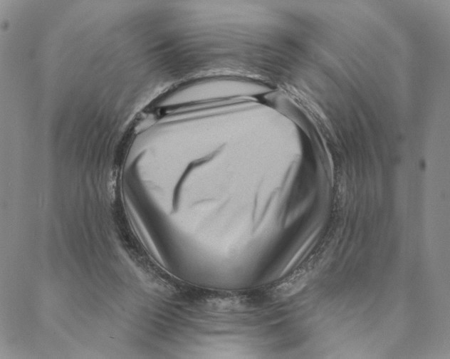 X0000088160160200706121610