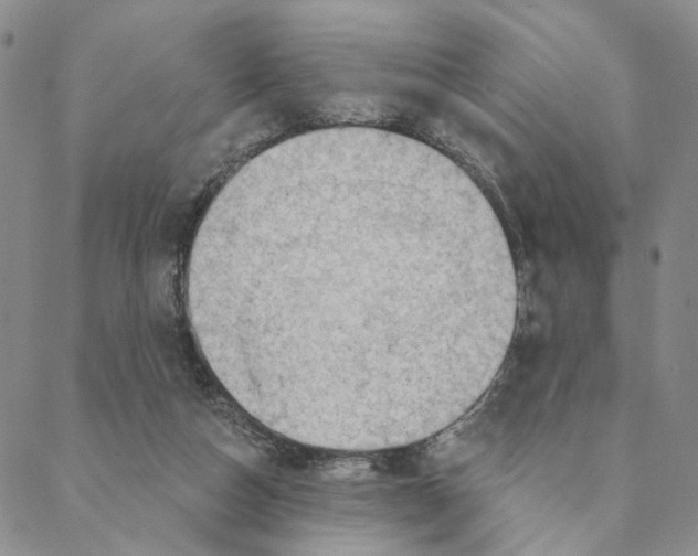 X0000088160162200706121610
