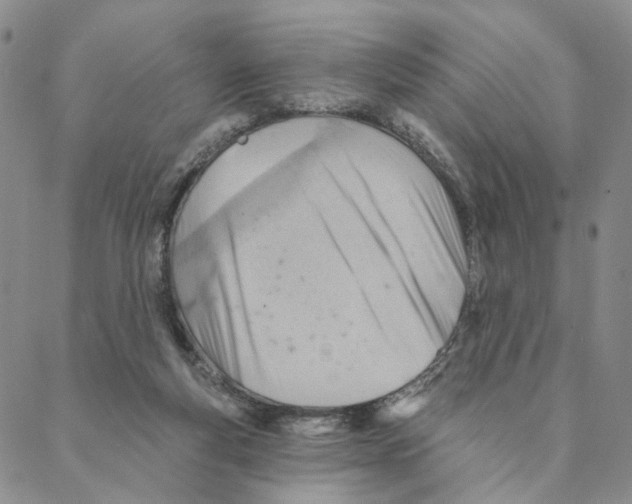 X0000088160163200706121610