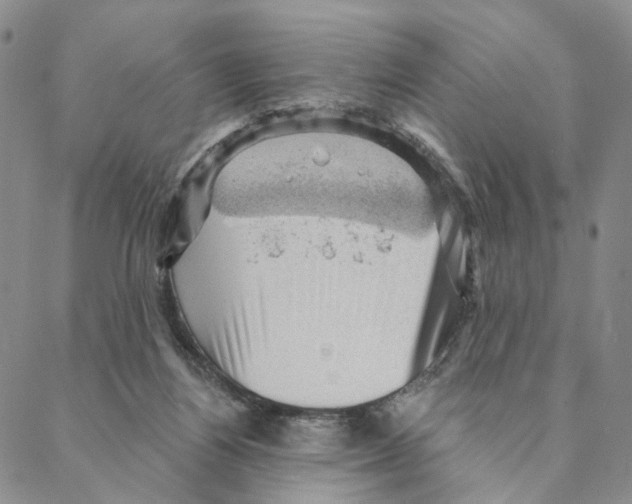 X0000088160164200706121610