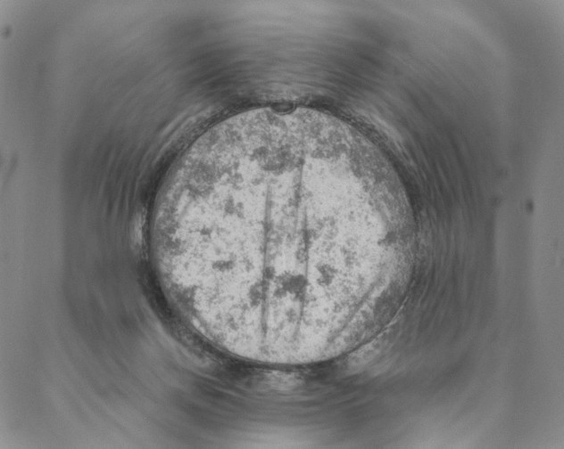 X0000088160166200706121610