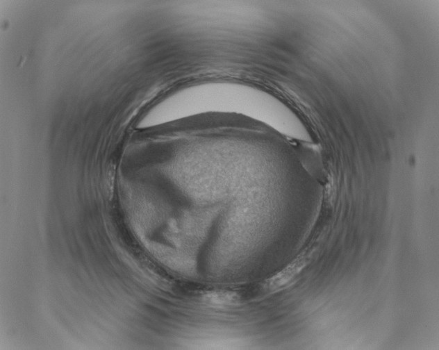 X0000088160168200706121610