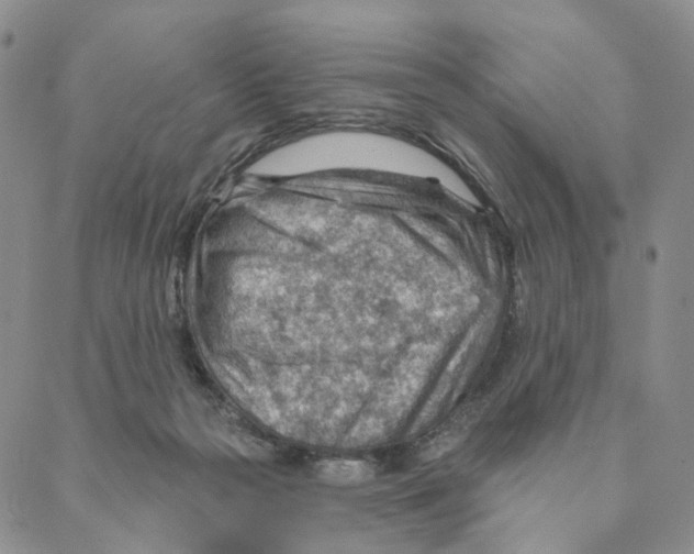 X0000088160169200706121610
