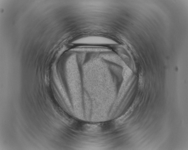 X0000088160170200706121610