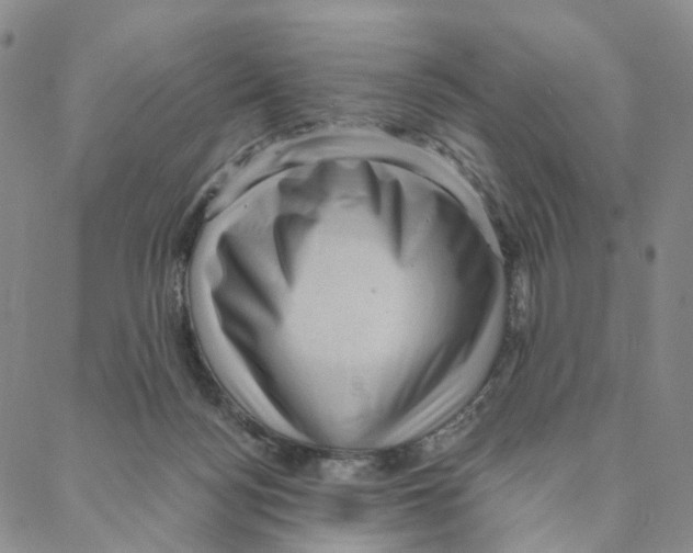 X0000088160172200706121610