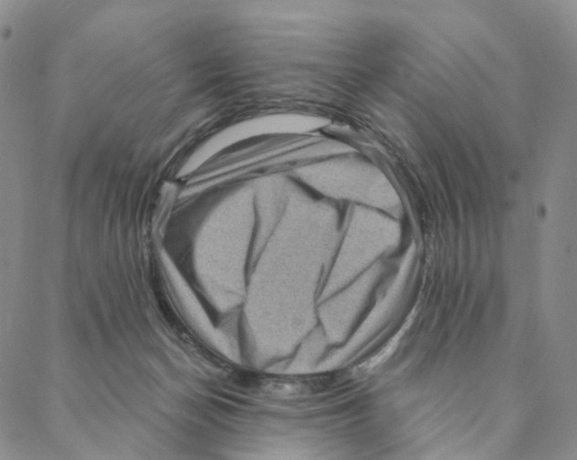 X0000088160174200706121610
