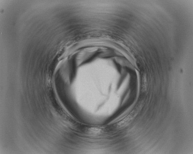 X0000088160176200706121610