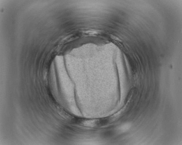 X0000088160178200706121610