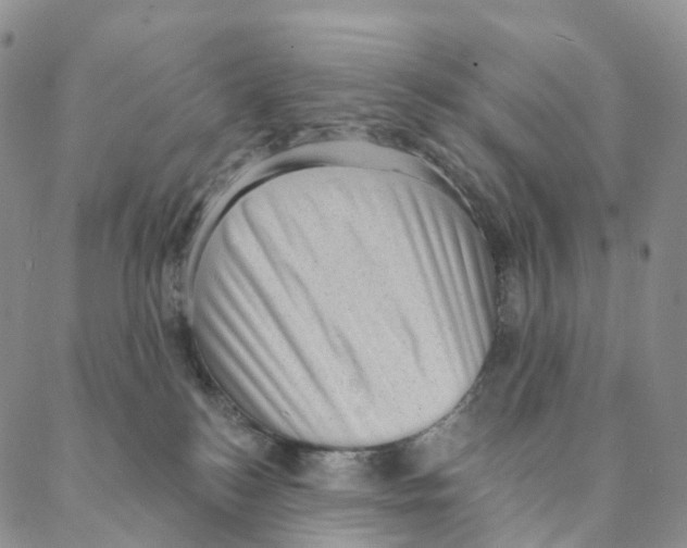 X0000088160184200706121610