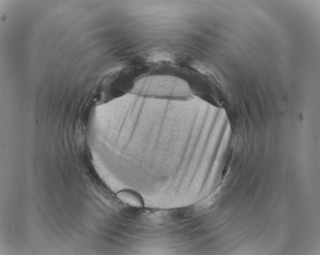 X0000088160186200706121610