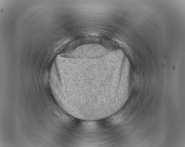 X0000088160189200706121610