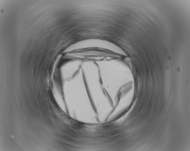 X0000088160190200706121610