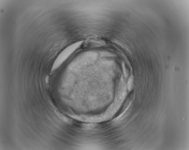 X0000088160192200706121610