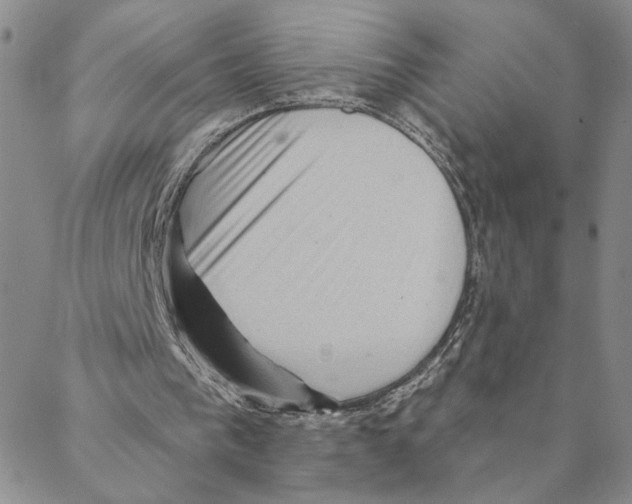 X0000088160193200706121610