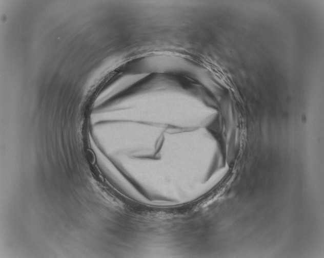 X0000088160197200706121609