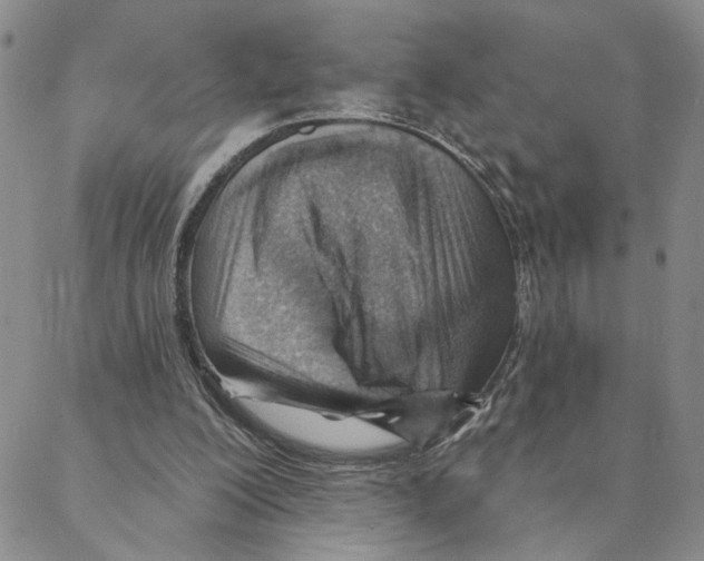 X0000088160200200706121609