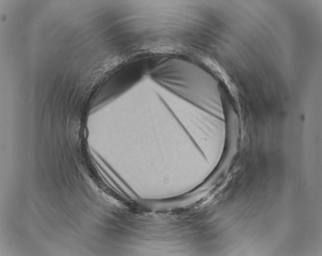 X0000088160201200706121609