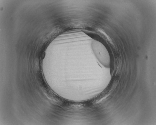 X0000088160213200706121609