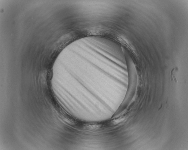 X0000088160217200706121609