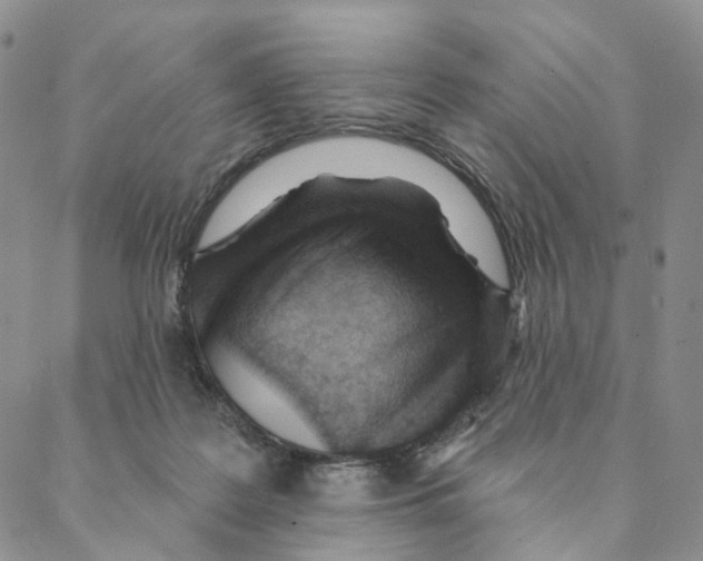 X0000088160219200706121609