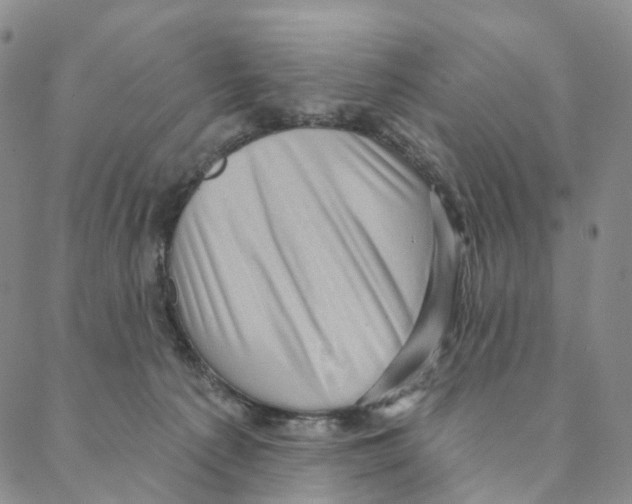 X0000088160225200706121609