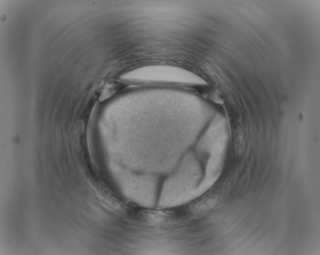 X0000088160229200706121609
