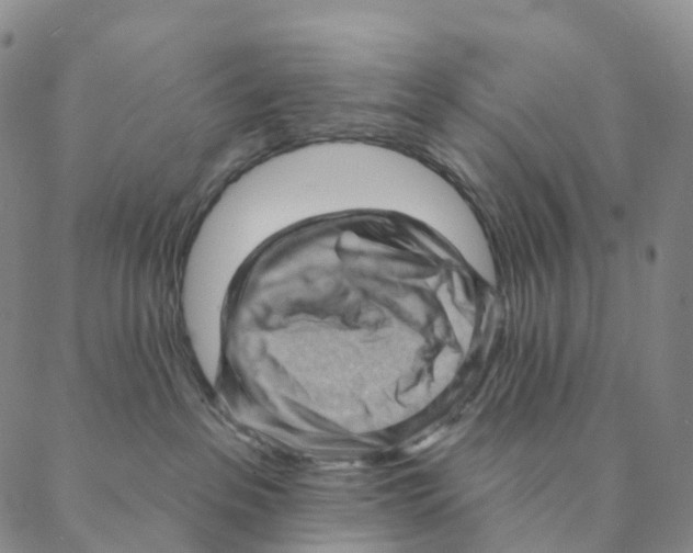 X0000088160237200706121609