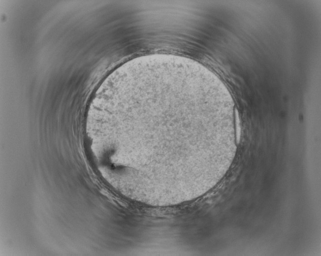 X0000088160241200706121608
