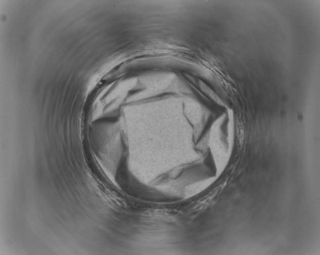 X0000088160244200706121608