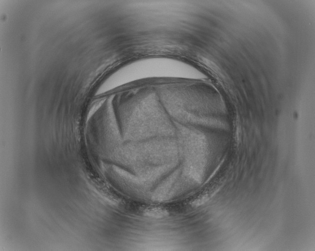 X0000088160258200706121608