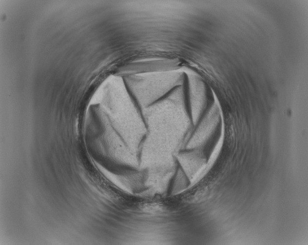 X0000088160262200706121608
