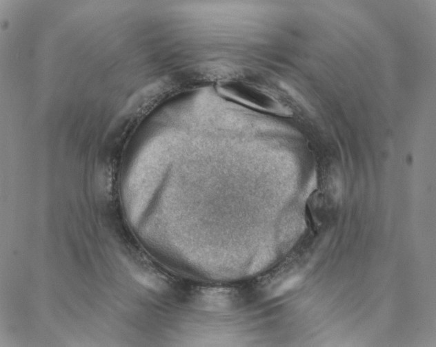 X0000088160268200706121608