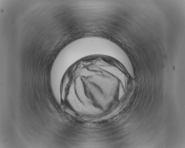X0000088160272200706121608