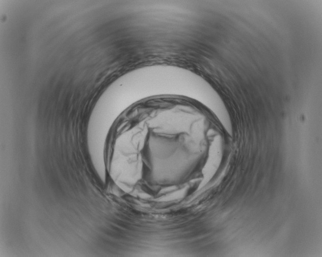 X0000088160276200706121609