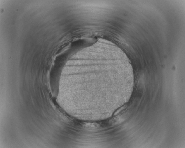 X0000088160277200706121609