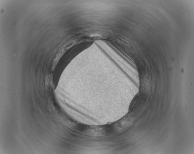 X0000088160278200706121609