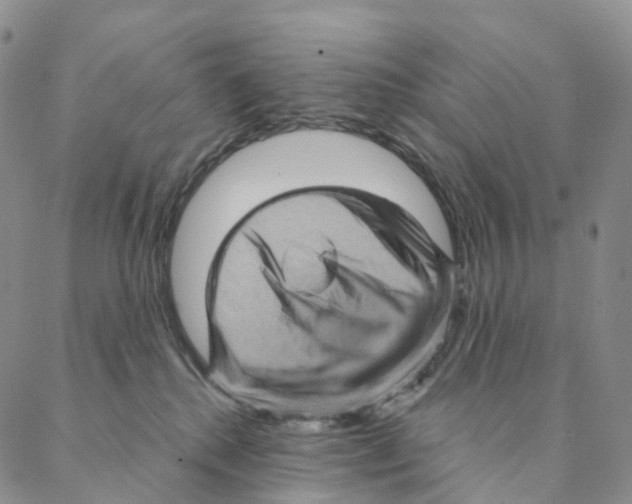 X0000088160280200706121609