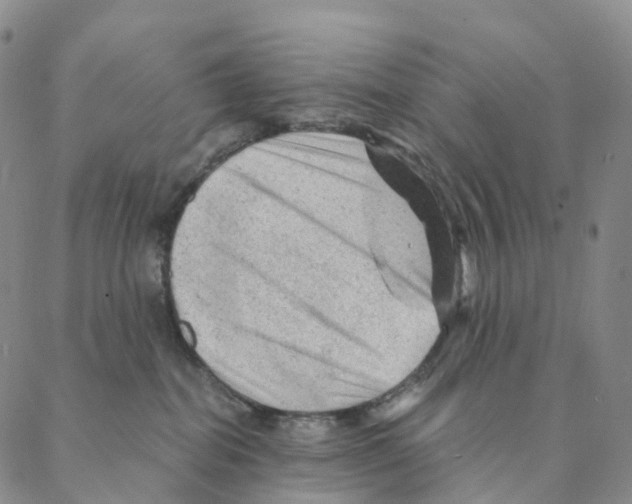 X0000088160282200706121609